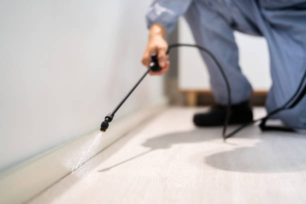 Licensed Termite Control service in Lake Zurich, IL - Nex Pest Control