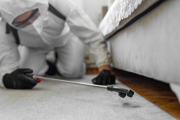 Professional Termite Control technician working in Lake Zurich, IL