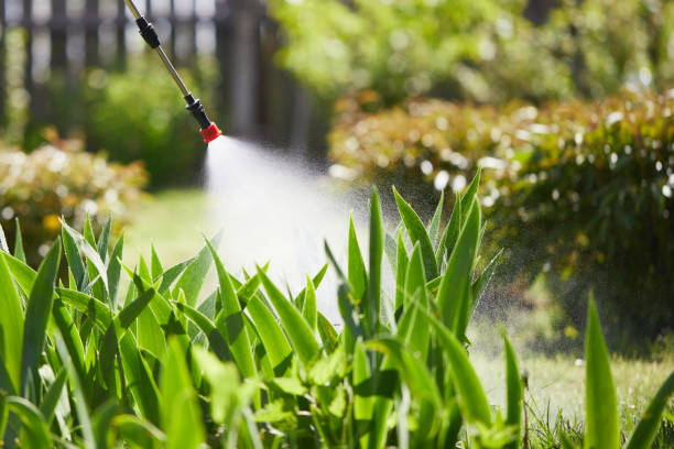 24/7 Emergency Termite Control experts in Lake Zurich, IL