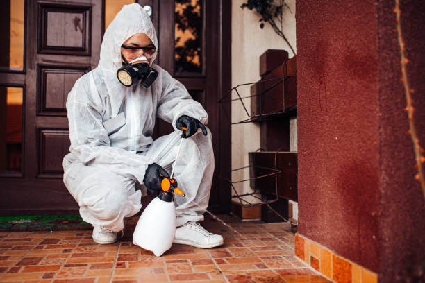 Reliable Termite Control contractor in Lake Zurich, IL by Nex Pest Control