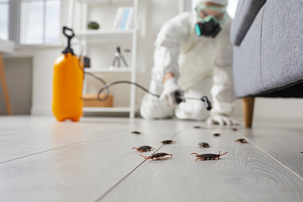 Trusted Emergency Pest Control service in Lake Zurich, IL - Nex Pest Control