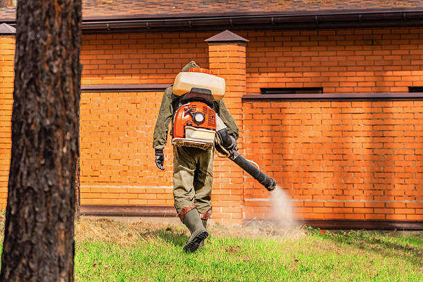 Trusted Bed Bug Control service in Lake Zurich, IL - Nex Pest Control